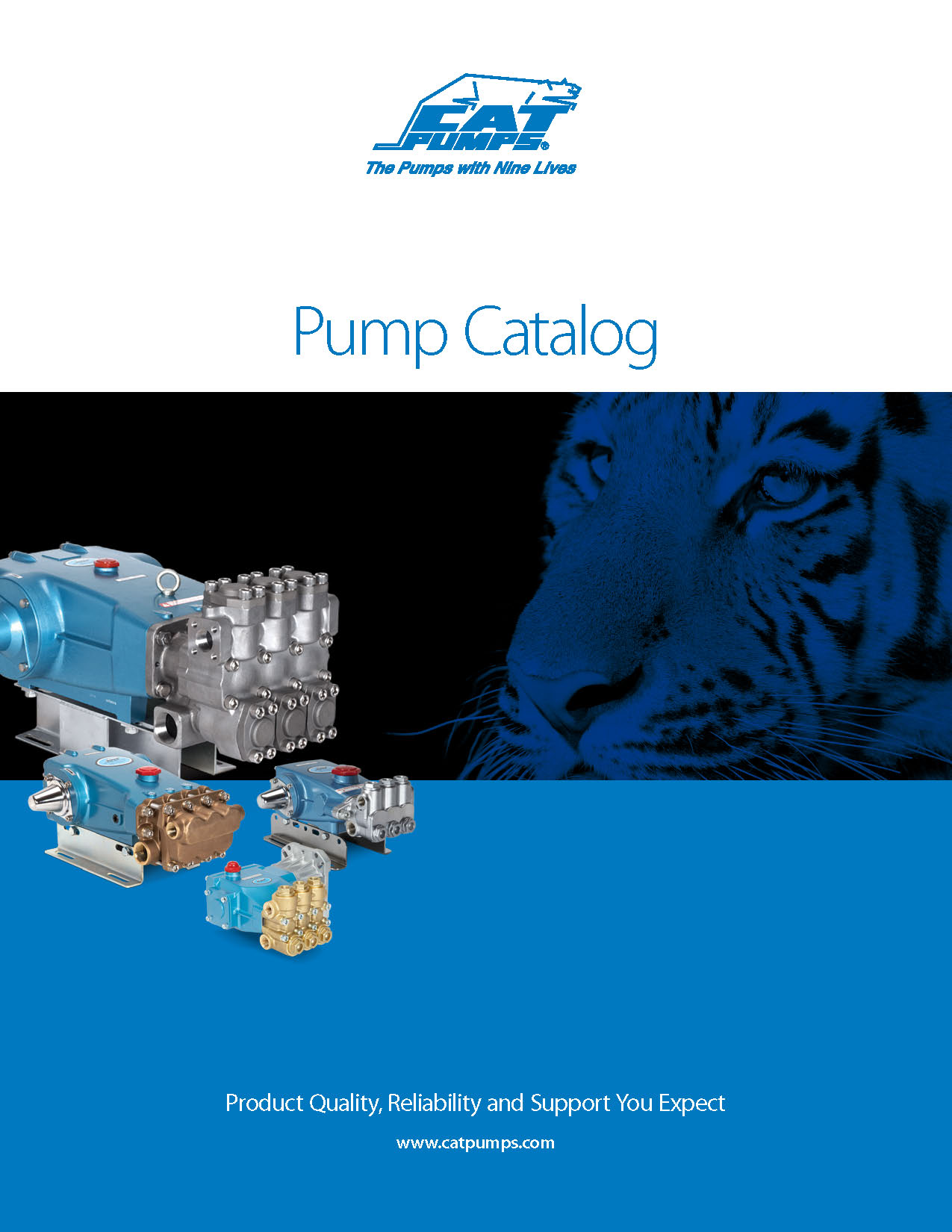 Detroit Pump CAT PUMPS CATALOG pdf