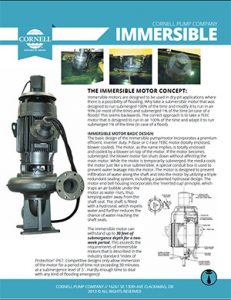 Cornell Immersible Pumps Detroit Pump pdf
