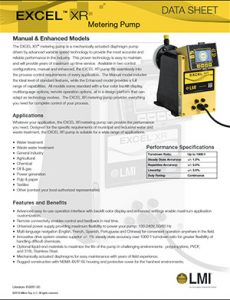 LMI Excel XR chemical metering pump brochure Detroit Pump pdf