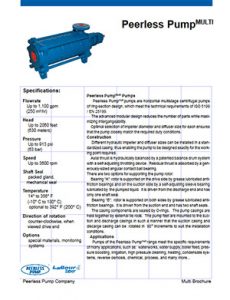 Peerless Pump Multi Detroit Pump pdf