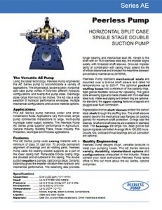 Peerless Pump Series AE Detroit Pump pdf